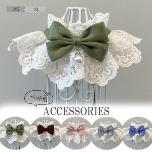  Lp ^ ybgpX^C [X p[t ANZT[ t  ttŃybgƉfUC ł킢ybgpi