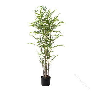 ^| lHϗtA ^ tFCNO[ t A t 0.6m 1.2m 1.5m  CeA   ӏܗp SҌ ŎRȎ̑