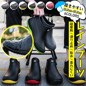 Cu[c fB[X Y CV[Y V[gu[c AEghA h C V[g  JC JWA yA ʋ ₷ ɂ Sh jp Jp 