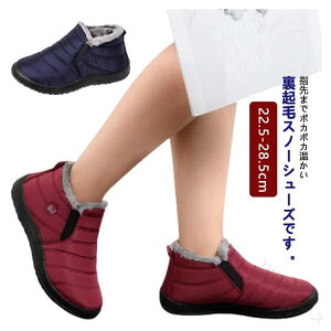 h N u[c Xm[u[c Xm[V[Y h V[gu[c [V[Y Ȃ Ȃ ۉ ~C fB[X C y CV[Y AEghAC N ~ H