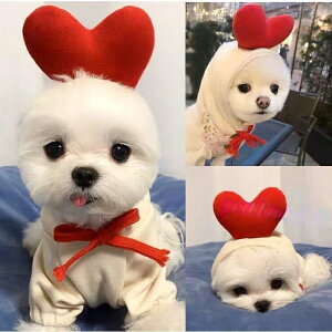 hbOEFA  pEFA t[htp[J[ vI[o[ n[g RX`[ ߑ Cxg ʔNgp ybgp NX}X ^ ^