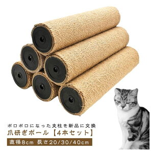 _[XNb` L lR |[ ܂Ƃ M8 ւ x Lbg^[ a8cm ꊪ 40cm 30cm   LeB[} ܌ ւ ܂Ƃ|[ x 4{Zbg Lp