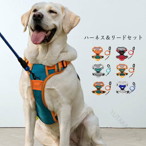 ^p  ˃e[vtŖԂS ȒP xg߉\ ʋCQŔɂEȂ U₨oɍœK J[oG[VLx