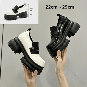  hXV[Y fB[X V[Y t H ~ r r Vv ꂢ JWA tF~j K[[ }jbV i ItBXJWA ʋ ʊw ubN ifގgp