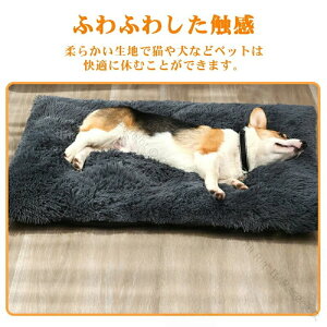 ybgpzbgJ[ybg ȔM ۉpbh dsv J[ybg }bg Lpybgq[^[ g[ybgpbh ̉~M ѕz ~ߒ ӂӂ hh  L 咆^Ή 