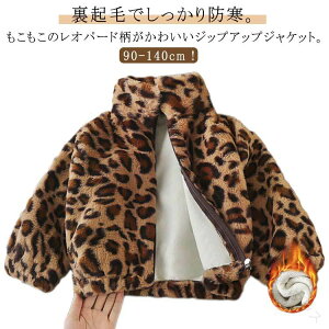 {AWPbg LbY ̎q j̎q t[X WPbg  q WjA K[Y Ip[h qE AE^[ Ԃ xr[ t@[ {A WPbg q ؍ N {