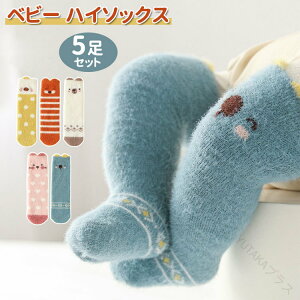 0-5ΓKp oYj MtgɍœK ۉh E₷₷ 5g K[Y {[CY q\bNX C ʊw ʉ ct ۈɂ߂̒gCZbg