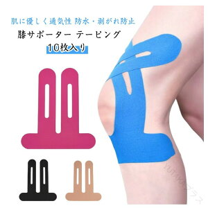 T|[^[ 10Zbg Gp ejXp S͋ e[sOe[v ϊ h~ hdl oRGNTTCYɍœK LkQ Ă鎞S ubN sN F tbg{[