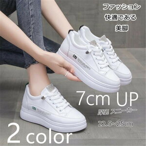 Xj[J[7cmAbvV[NbgV[YCq[fB[XEH[LOV[Y[XAbvꂢߌCnCJbgC₷zCgyȂg