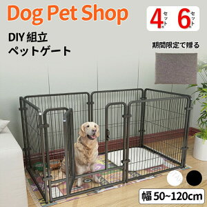 P[W ^ ^ ^p  O ܂肽  ybgT[N gCg[jO Q[gt Rgݍ킹 hKH hbOtFX LX S݌v ȒPg ^ѕ