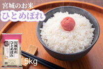 楽天市場】令和3年 ひとめぼれ 5kgの通販