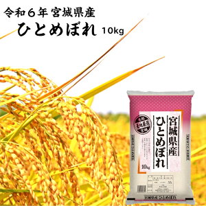 ߘa6NY ЂƂ߂ڂ 10kg {錧Y   А {̂