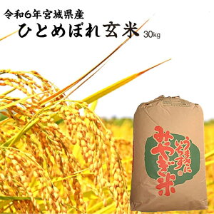 ߘa6NY ЂƂ߂ڂ uāv30kg {錧Y  {̂