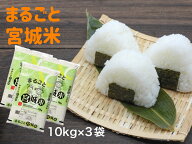 【 今だけ特別価格 ！ 】令和7年産 まるごと宮城米 10 kg × 3 袋 【月間優良ショップ受賞】お米 30 kg …