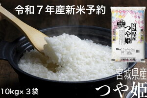 yߘa7NYVė\tz P 10 kg × 3  {錧YyԗDǃVbv܁z yz  А {̂