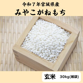令和7年産 みやこがねもち 玄米 30 kg 【送料無料】 宮城県産 もち米