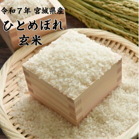 令和7年産新米 ひとめぼれ 玄米30kg 宮城県産 送料無料 宮城のお米