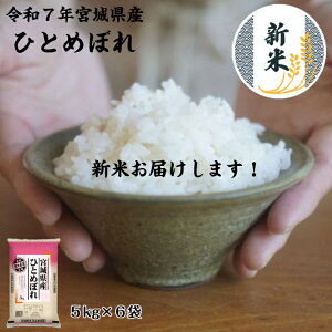 7NYVĎYnIׂ܂I oׂł܂IЂƂ߂ڂ 5kg×6 30kg  {錧Y  А