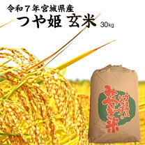 楽天市場】宮城 玄米30kgの通販