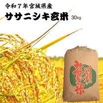 楽天市場】令和7年産 新米 玄米 30kgの通販