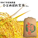 令和7年産 ひとめぼれ 「玄米」30kg 宮城県産 送料無料 宮城のお米