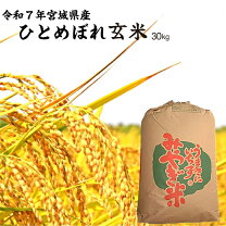 楽天市場】あいちのかおり 玄米 30kgの通販