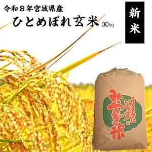 �y�H�̂��������I�z�ߘa8�N�Y �ЂƂ߂ڂ� ���� 30kg �{�錧�Y �������� �V�� �{��̂���