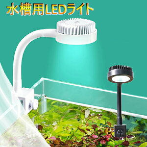 /ledCg/ 1/A琬 //px߉\/^/ USBd USB|[g  ANAE 邢 nCp[ 킢  k  Vv _