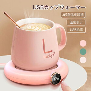 JbvEH[}[ ۉR[X^[ X}[gR[q[EH[}[ ۉR[X^[ P55 LCDfBXvCt USB[d 3ix LCD\ /KX/XeXRbvΉ It
