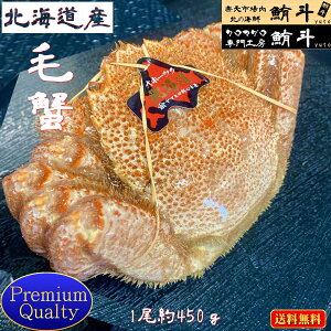 Mtg  kCYyzъI (400g×1) {C {C Ⓚ уKj kC Jj т I  p Y CNO  񂹃O j Ԃ ̓ 