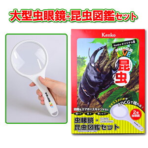 傫Ȓዾi{2{jƍ}ӁiPR[IWi/16y[WjZbg@[PR[EgLi[ w v[g qǂ̓ q̓ wj R  ዾ ߂ 