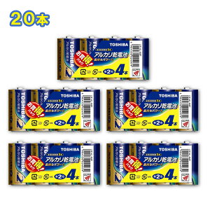  AJdr P2` 4{pbN LR14L 4MP [TOSHIBA P` P P2 dr AJdr ܂Ƃߔ]y[֑z