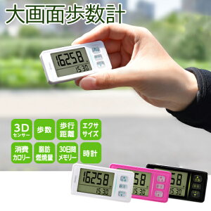 ʕv H-236 [ v EH[LO U _CGbg N^ hebN dretec ]y[֑z