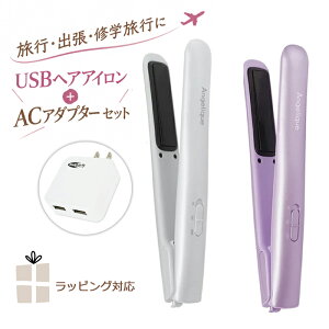 �}�N�Z�� USB���o�C���w�A�A�C���� MXHI-100 & 2�|�[�gUSB AC�A�_�v�^�[ �Z�b�g Angelique �A���W�F���[�N �y��100g ���x2�i�K ��200�� �R���p�N�g �g�їp ���s �o�� �C�w���s �O�� �|�[�`�t 5V2A�Ή��A�_