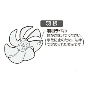  @ p H 021TE029 mTOSHIBA @p  Ki  i p[c Vi]