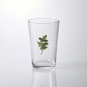 yI͂ H Mtgz n[uW[XOX ~g / I ͂ I͂ݐH H OX n[u n[u t A ~g KX 250ml W[X n[ueB[ H@