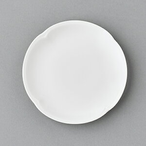 yI͂ H Mtgzt[v[g 16cm N[o[ / I ͂ I͂ݐH M M H  ƒ뗿  Lb` Lb`pi Ƒ V Ƃ̋ M