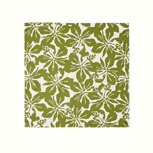 y|Cg5{ 11()01:59܂ŁzyI͂݁z `NX gsJvg / I ͂ `NX 51×51cm ٓ ԕ nCrXJX O[ lCr[   100 Rbg100