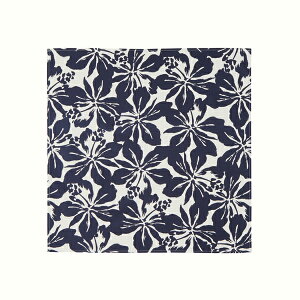 yI͂/Lb`G/Mtgz `NX gsJvg / I ͂ `NX 51×51cm ٓ ԕ nCrXJX O[ lCr[   100 Rbg100 M