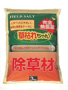 ͂ꂿ 3kg K[fjO _Ɛlnɂ₳S_򏜑ށI 877365 _  K[fjO | G