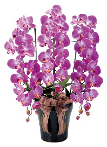 yLO1ʊlz[A[gt[]CӒL  ϗtA  lHϗtAG}̗͂ł̋CN[ɁI 3A0901-200  A[gt[  O[ t[ 