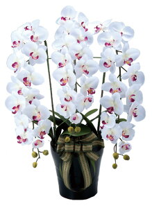 yLO1ʊlz[A[gt[]CӒW/AB  ϗtA  lHϗtAG}̗͂ł̋CN[ 3A0902-200  A[gt[  O[ t[ ϗtA