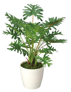 yLOlz [A[gO[]Xvbg CeA u uԂoI 3A5406-30  A[gO[ ϗtA v[g 蕨 Mtg  ][g X V