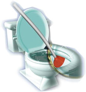 _{300~N[|i^yLO1ʎ܁z|pi X|W 킵 uV gCuV gCN[i[ (zCg)hCc܂̐i`gCuVIgCN[i[ | 