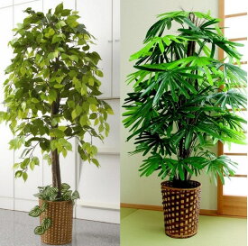 楽天市場 人工観葉植物 竹 その他 インテリア小物 置物 インテリア 寝具 収納の通販 楽天市場 人工観葉植物 竹 その他 インテリア小物 置物 インテリア 寝具 収納の通販