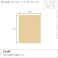 ベルギー製ウィルトン織ラグブルージュ250×200cm