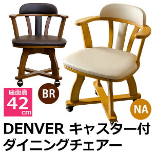 _{300~N[|i^yLO܁zCX `FA _CjO`FA DENVER LX^[t_CjO`FALX^[tňړyX_CjO`FA ֎q `FA htt01 HTT-01 DENVE