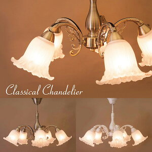 yLO1ʊlz NVJV[Ov 5 NT[k iDL16677-5C y  荠   KXVF[h NVJ tȒP Cg Ɩ AeB[N