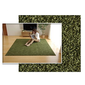 ＼300円OFFクーポン配布／ 防炎 抗菌 防臭 防ダニ カーペット シャンゼリゼ 約130×190cm カーペット・マット・ラグ 角型4722159 4722259 4722359 防炎 抗菌 テレワーク リモートワーク ステイホーム 在宅 動画あり