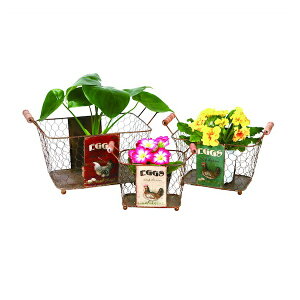 K[foXPbg Eggs p^ 咆 3Zbg GNXeA K[ft@j`[ K[fI[ig u i82244+82245+82246 oXPbg Zbg K[fjO GNXeA   